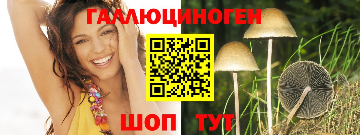 Галлюциногенные грибы Psilocybe  Вход с VPN  Усть-Кут  Псилоцибиновые грибы Psilocybe 